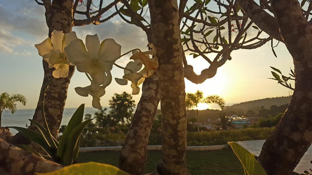 Villa Kipas Retreat سينغيغي المظهر الخارجي الصورة